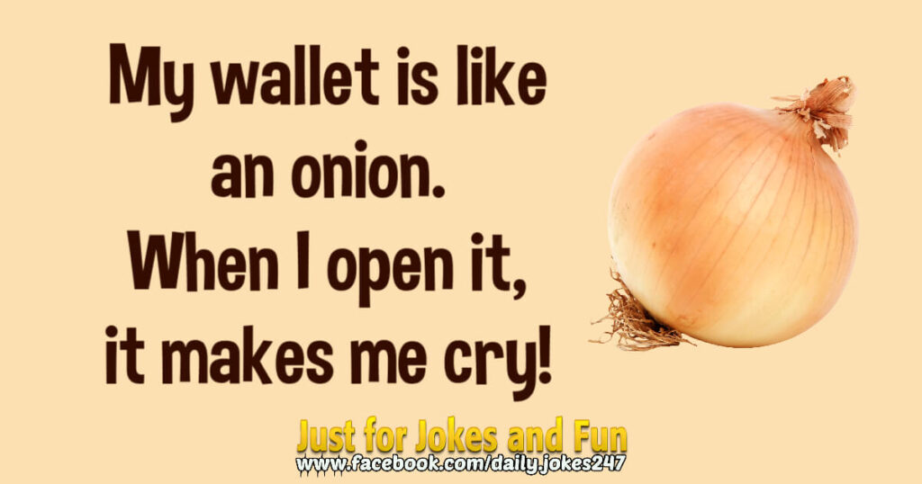 My wallet is like an onion