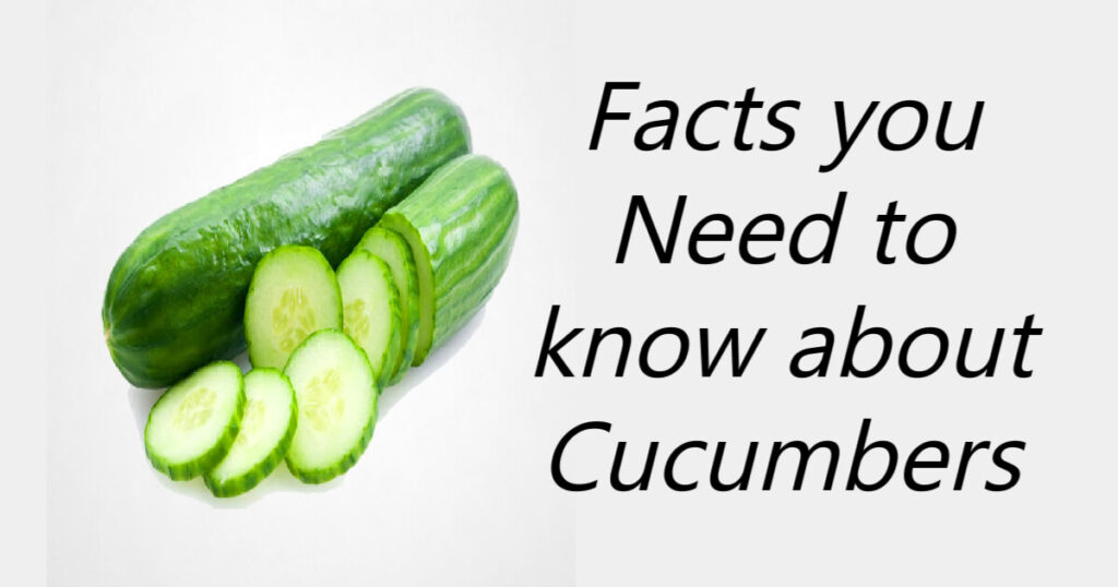 Facts you need to know about Cucumbers