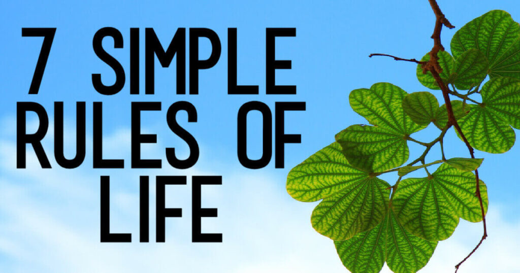 7 Simple Rules of Life