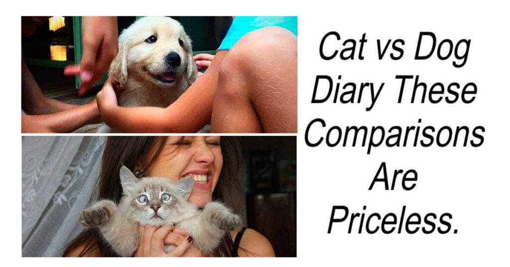 Cat vs Dog Diary These Comparisons Are Priceless