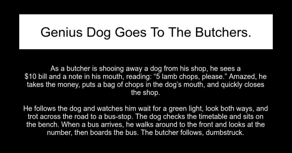 Genius Dog Goes To The Butchers