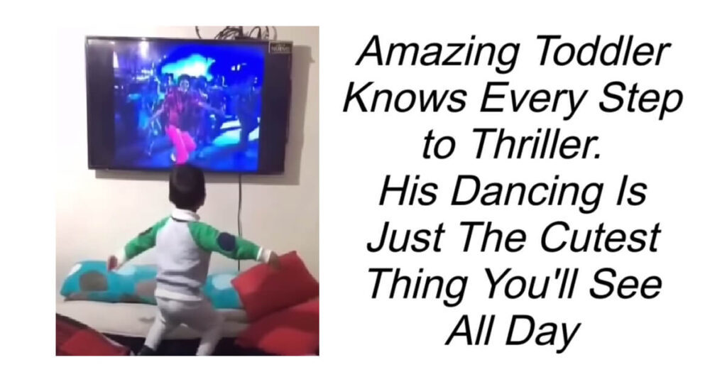 Amazing Toddler Knows Every Step to Thriller