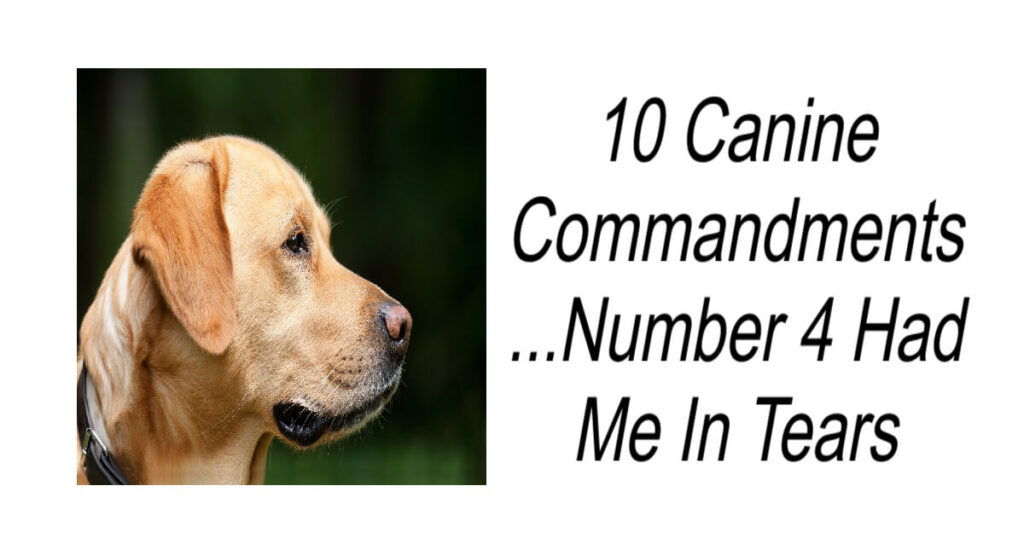 10 Canine Commandments