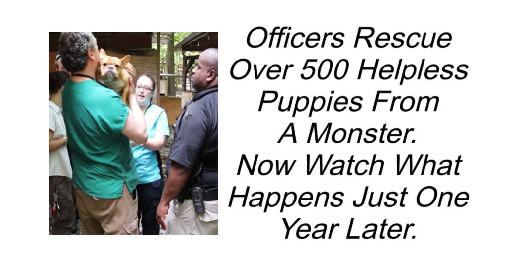 Officers Rescue Over 500 Helpless Puppies
