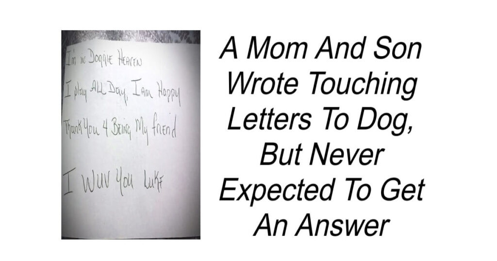 Son Wrote Touching Letters To Dog