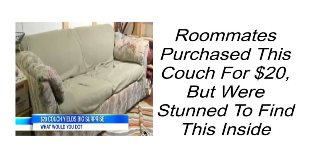 Couch For $20 But Were Stunned To Find This Inside