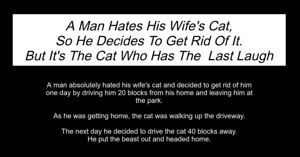 Man Hates His Wife's Cat
