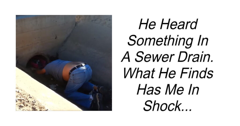 He Heard Something In A Sewer Drain.