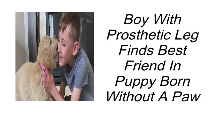 Boy With Prosthetic Leg Finds Best Friend In Puppy