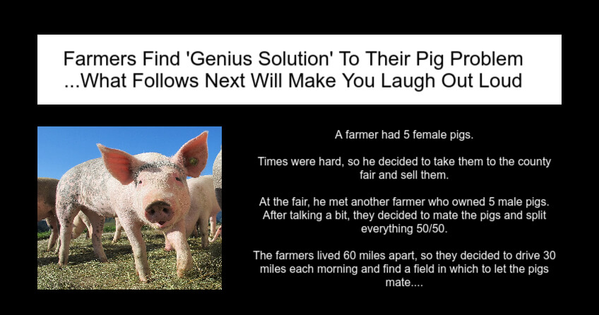 Farmers Find Genius Solution To Their Pig Problem