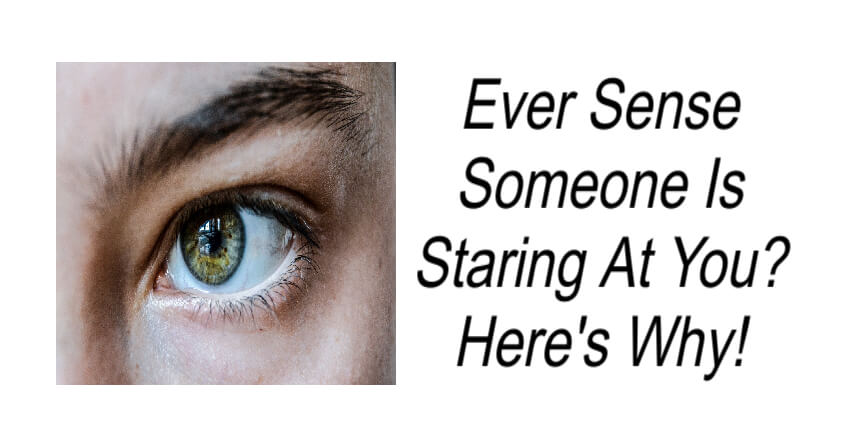 Ever Sense Someone Is Staring At You?