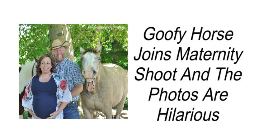 Goofy Horse Joins Maternity Shoot