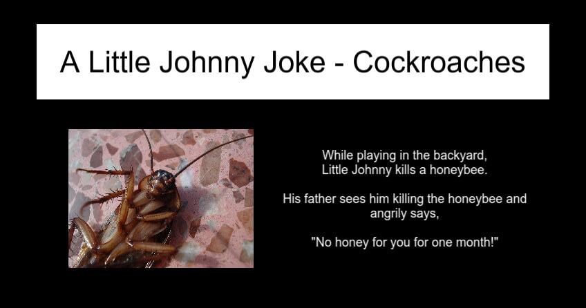A Little Johnny Joke - Cockroaches