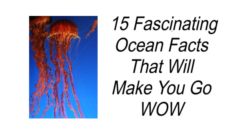 15 Fascinating Ocean Facts
