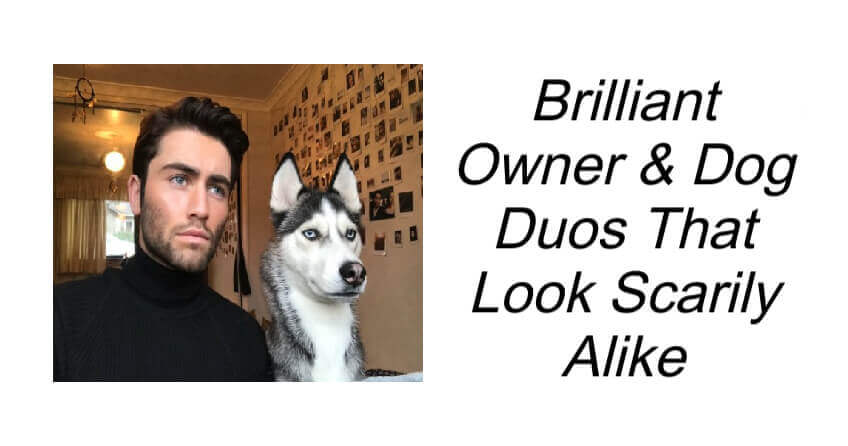 Brilliant Owner & Dog Duos That Look Scarily Alike