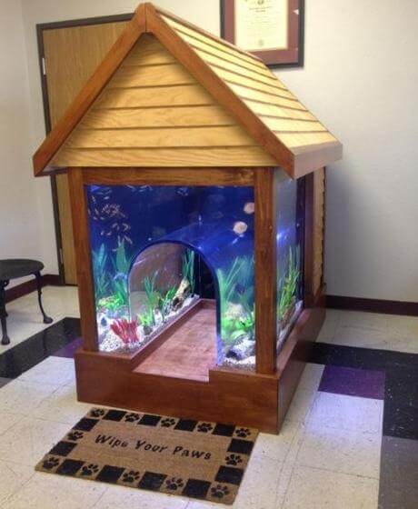 The Most Amazing Pet Houses 
