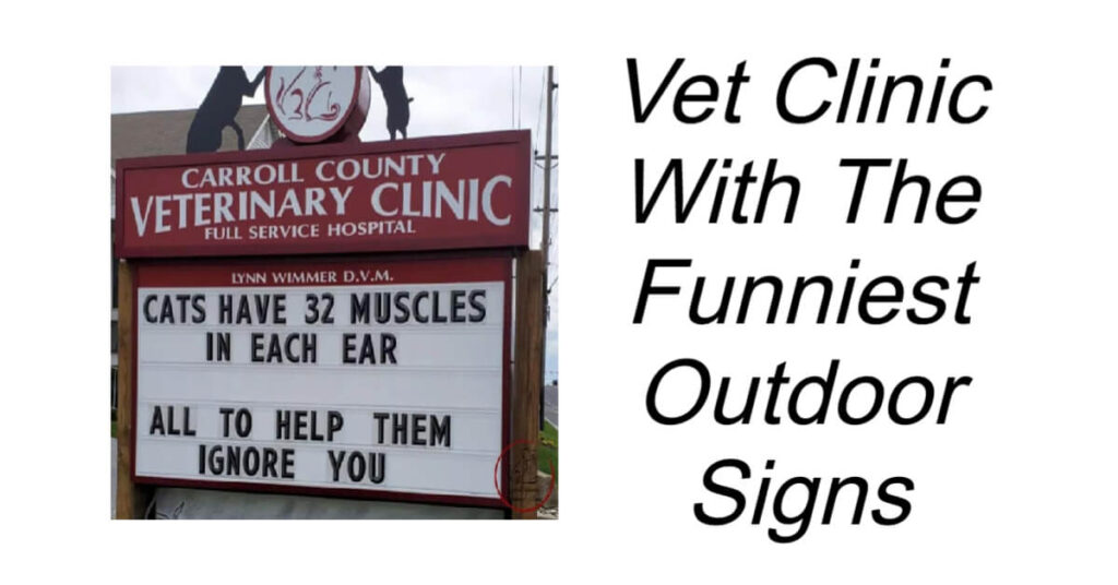 Vet Clinic With The Funniest Outdoor Signs