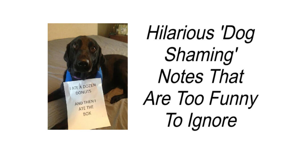 Hilarious 'Dog Shaming' Notes