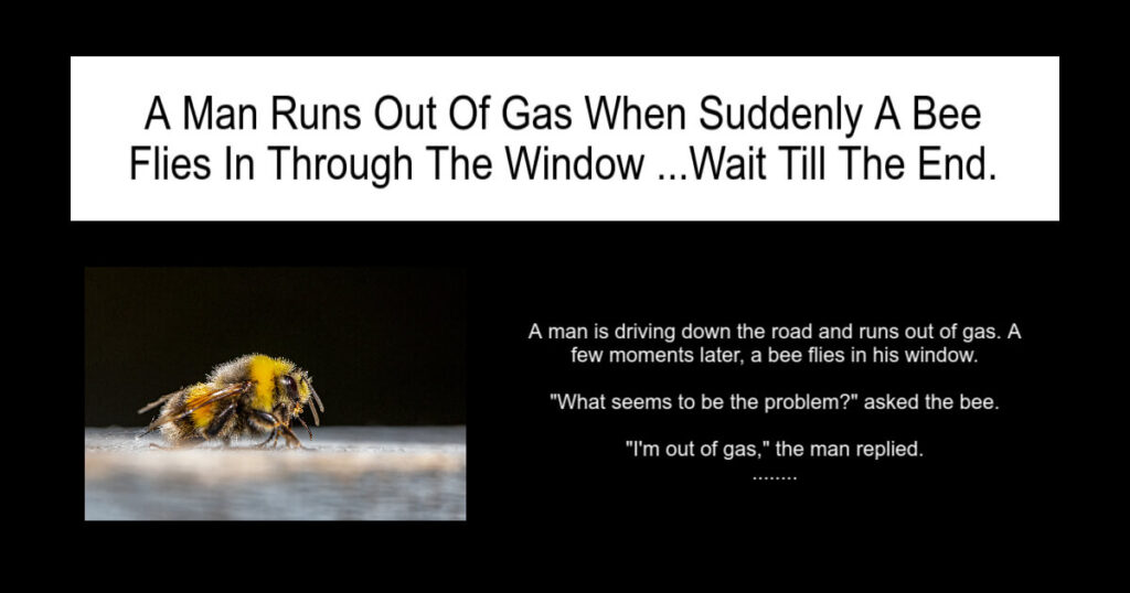 A Man Runs Out Of Gas