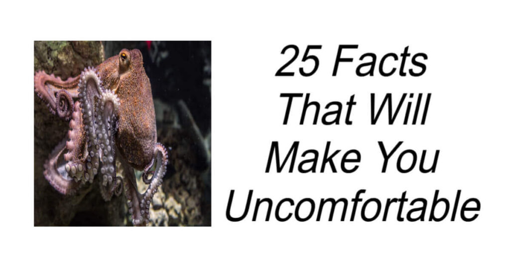 Facts That Will Make You Uncomfortable