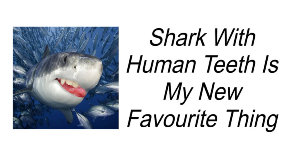 Shark With Human Teeth