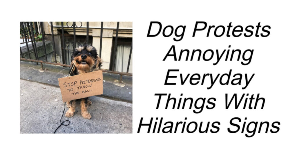 Dog Protests Annoying Everyday Things