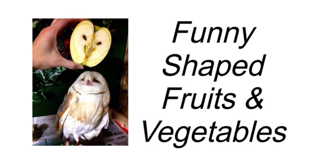 Funny Shaped Fruits And Vegetables