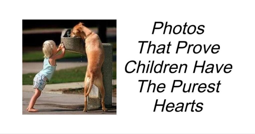 Photos That Prove Children Have The Purest Hearts