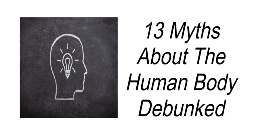 13 Myths About The Human Body Debunked