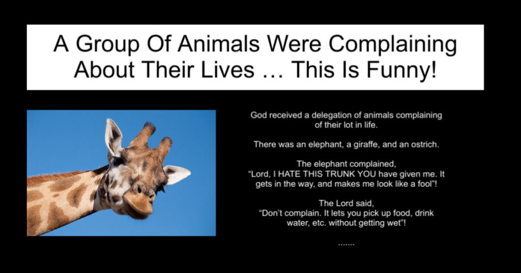 Animals Were Complaining About Their Lives