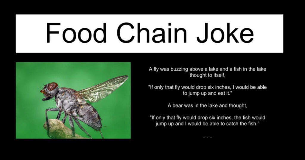 Food Chain - Rude Joke