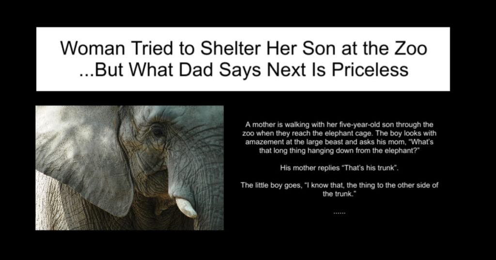 Woman Tried to Shelter Her Son at the Zoo
