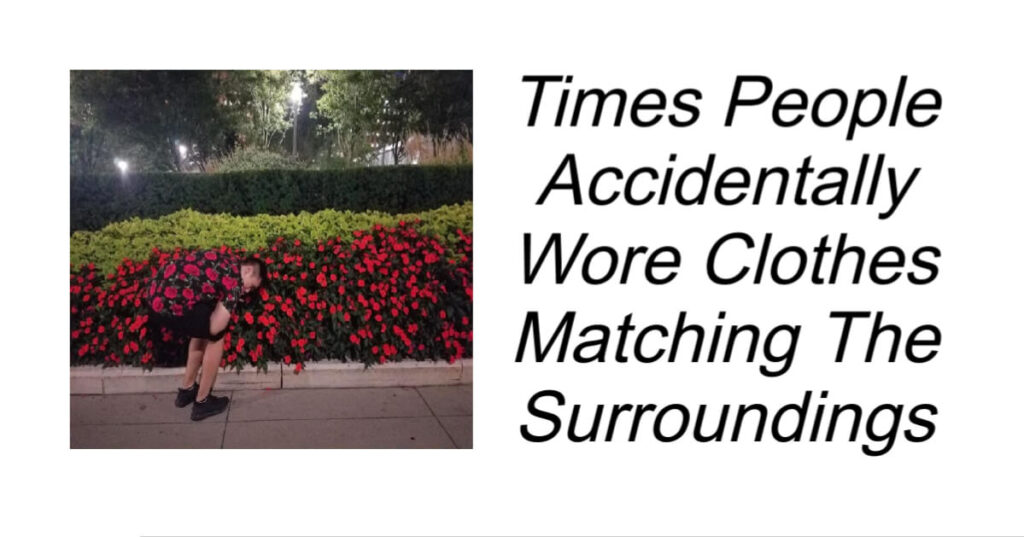 Times People Accidentally Wore Clothes Matching The Surroundings