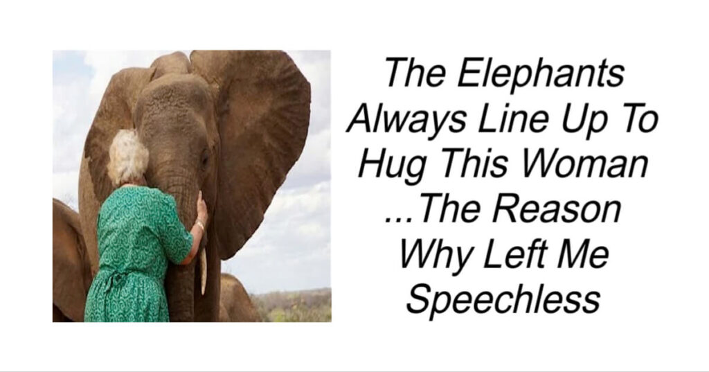 The Elephants Always Line Up To Hug This Woman