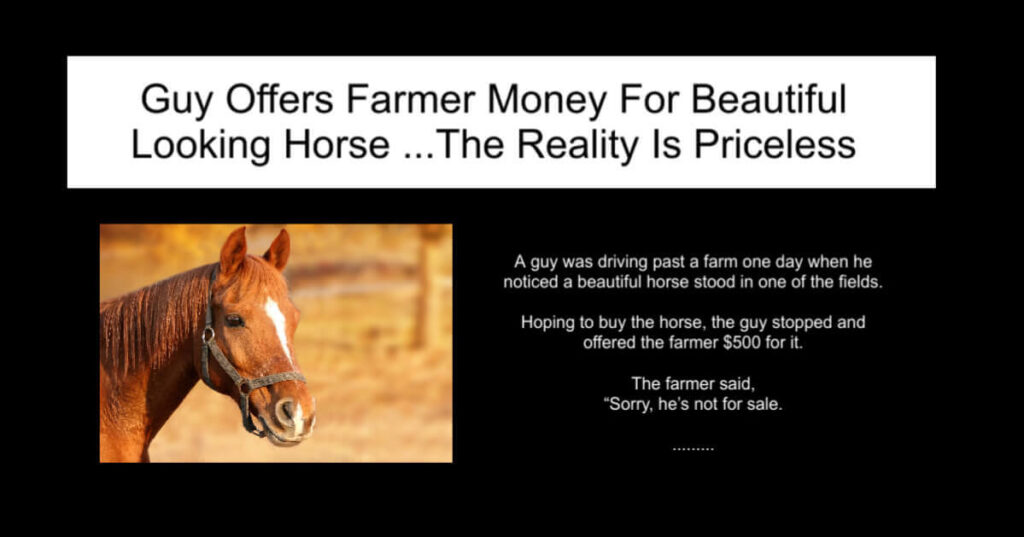 Guy Offers Farmer Money For Beautiful Looking Horse