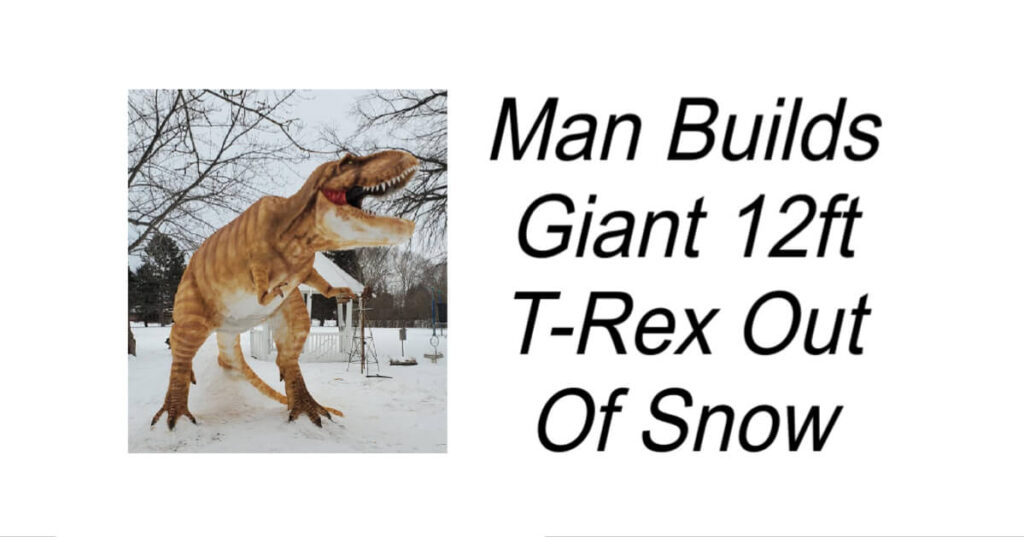 Man Builds Giant 12ft T-Rex Out Of Snow
