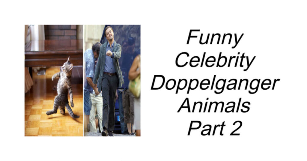 Celebrity Doppelganger Animals Part 2