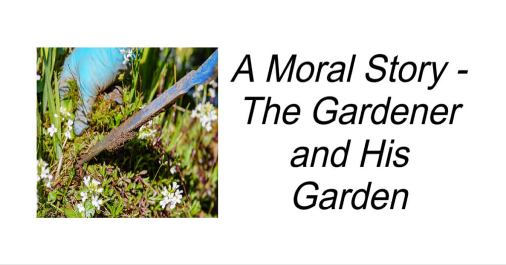 The Gardener and His Garden