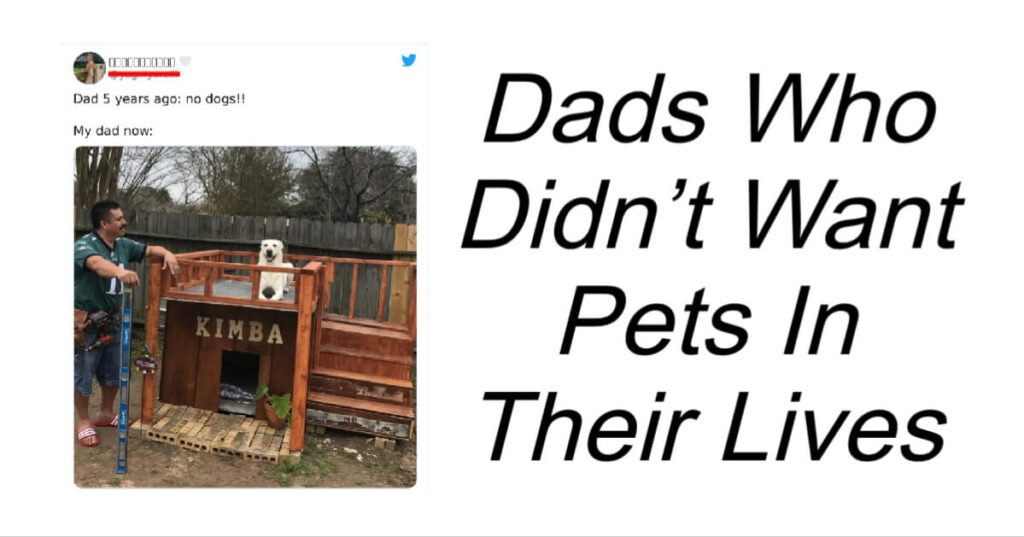 Dads Who Didn’t Want Pets In Their Lives