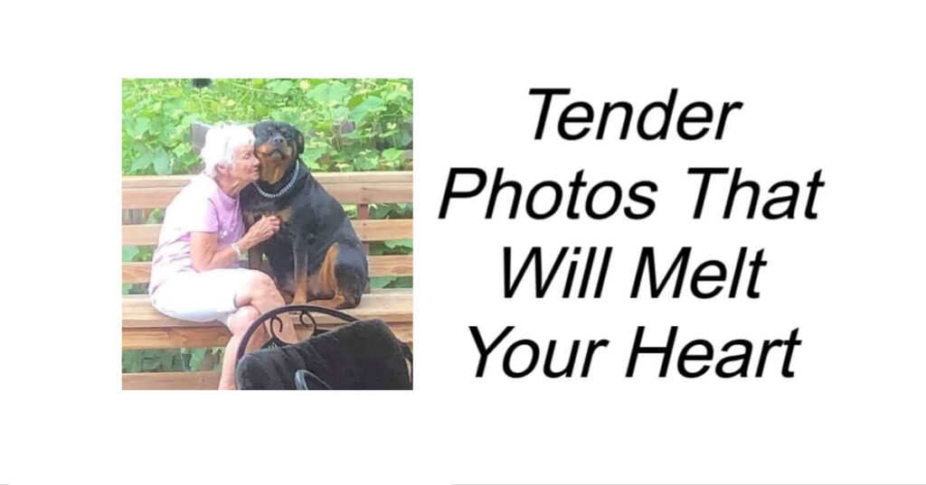 Tender Photos That Will Melt Your Heart