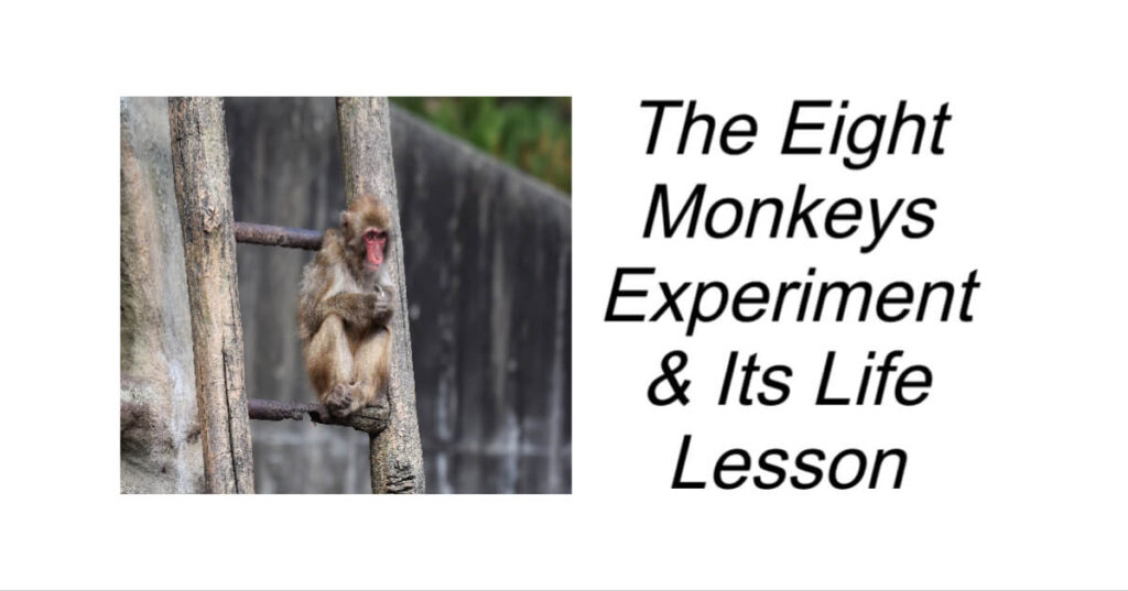 The Eight Monkeys Experiment