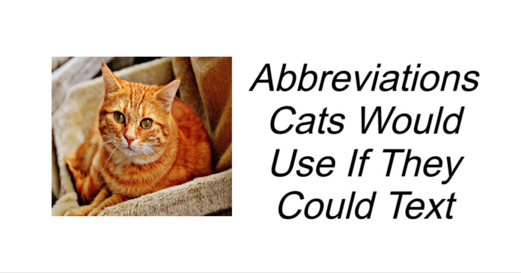 Abbreviations Cats Would Use
