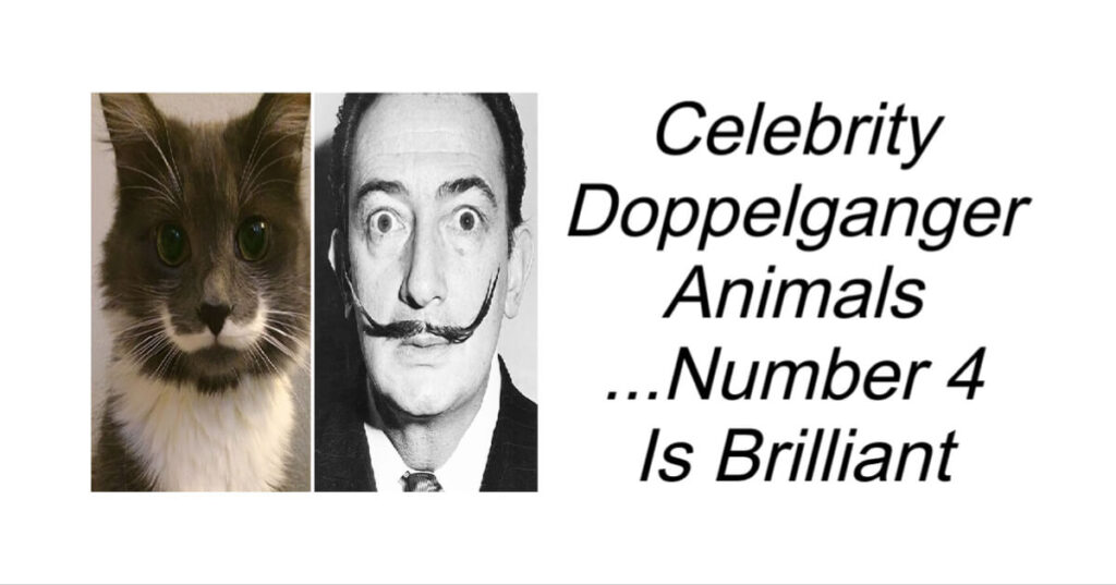 Celebrity Doppelganger Animals