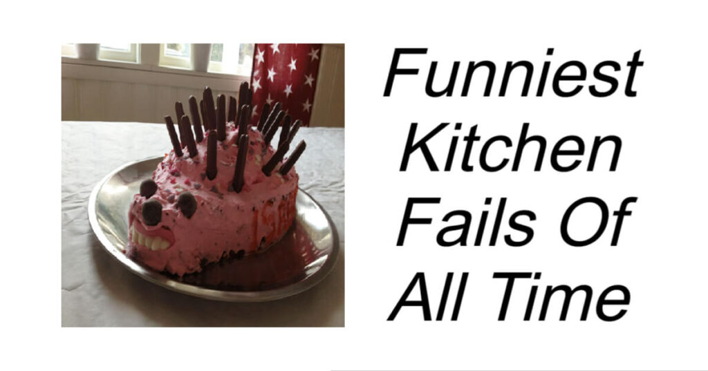 Funniest Kitchen Fails Of All Time