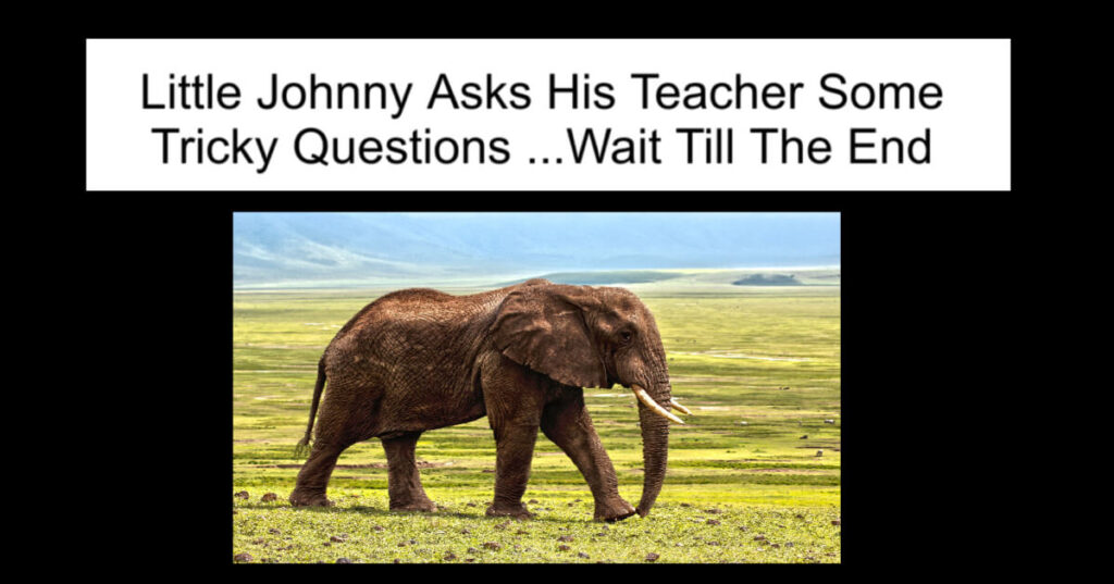 Little Johnny Asks His Teacher Some Tricky Questions