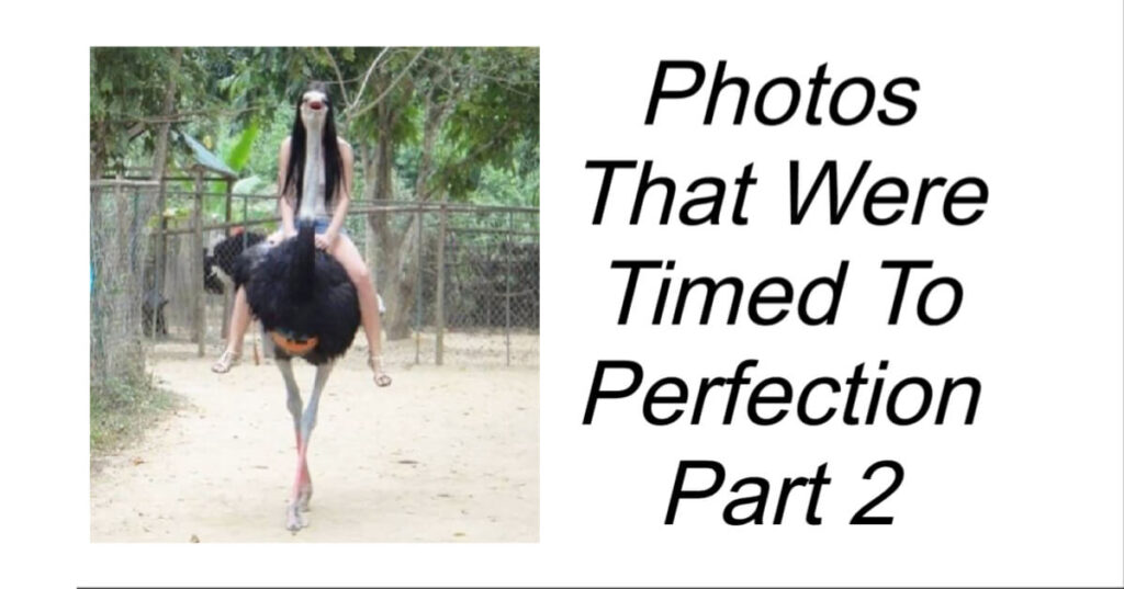 Photos That Were Timed To Perfection Part 2