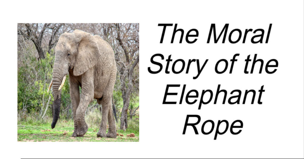 The Moral Story of the Elephant Rope