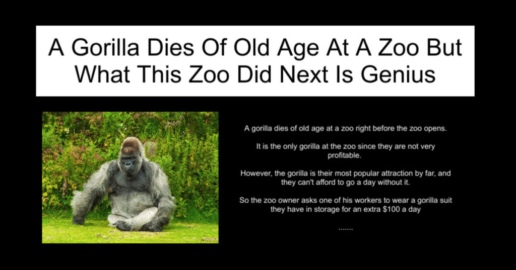 A Gorilla Dies Of Old Age At A Zoo