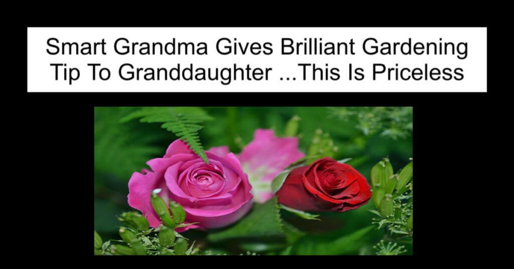 Smart Grandma Gives Brilliant Gardening Tip