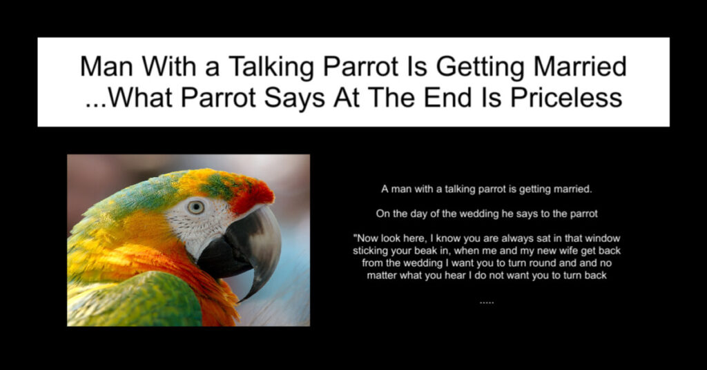 Man With a Talking Parrot Is Getting Married